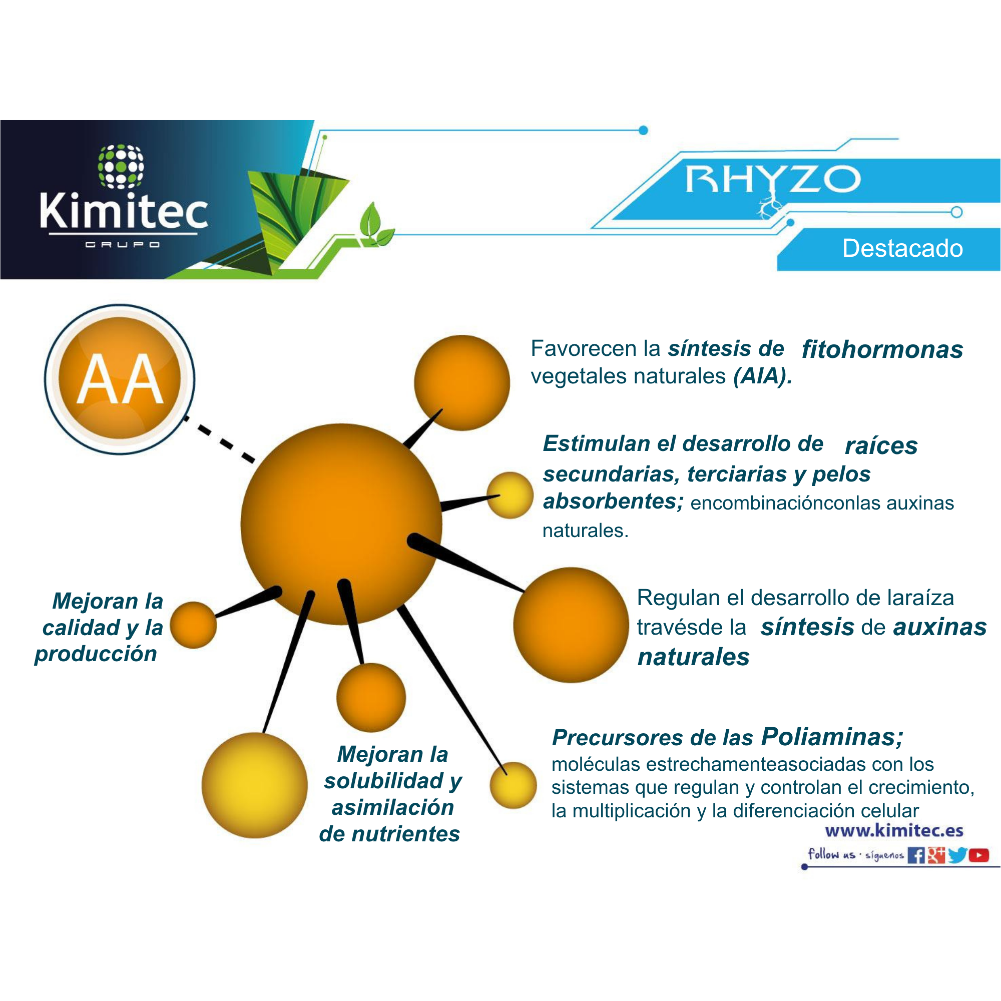 Rhyzo® | 1 KG   | Enraizante no hormonal