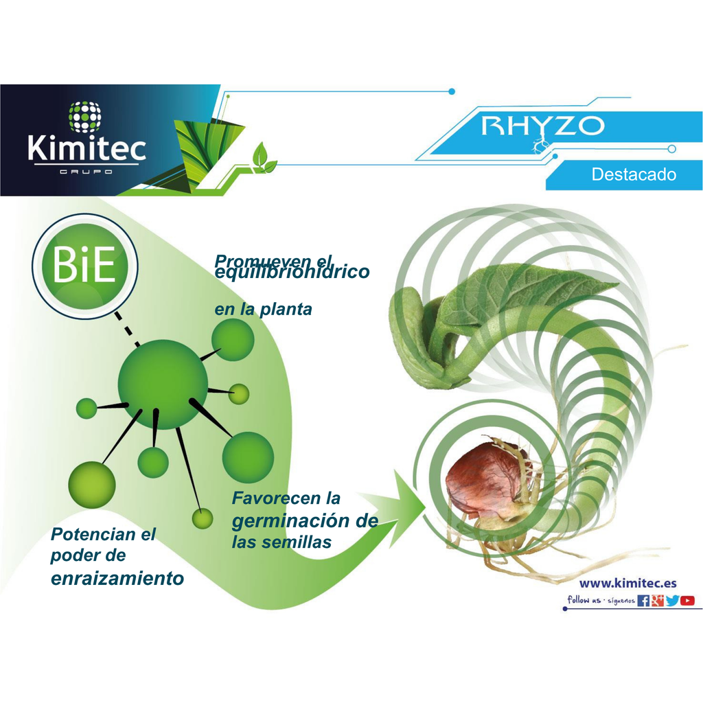 Rhyzo® | 1 KG   | Enraizante no hormonal