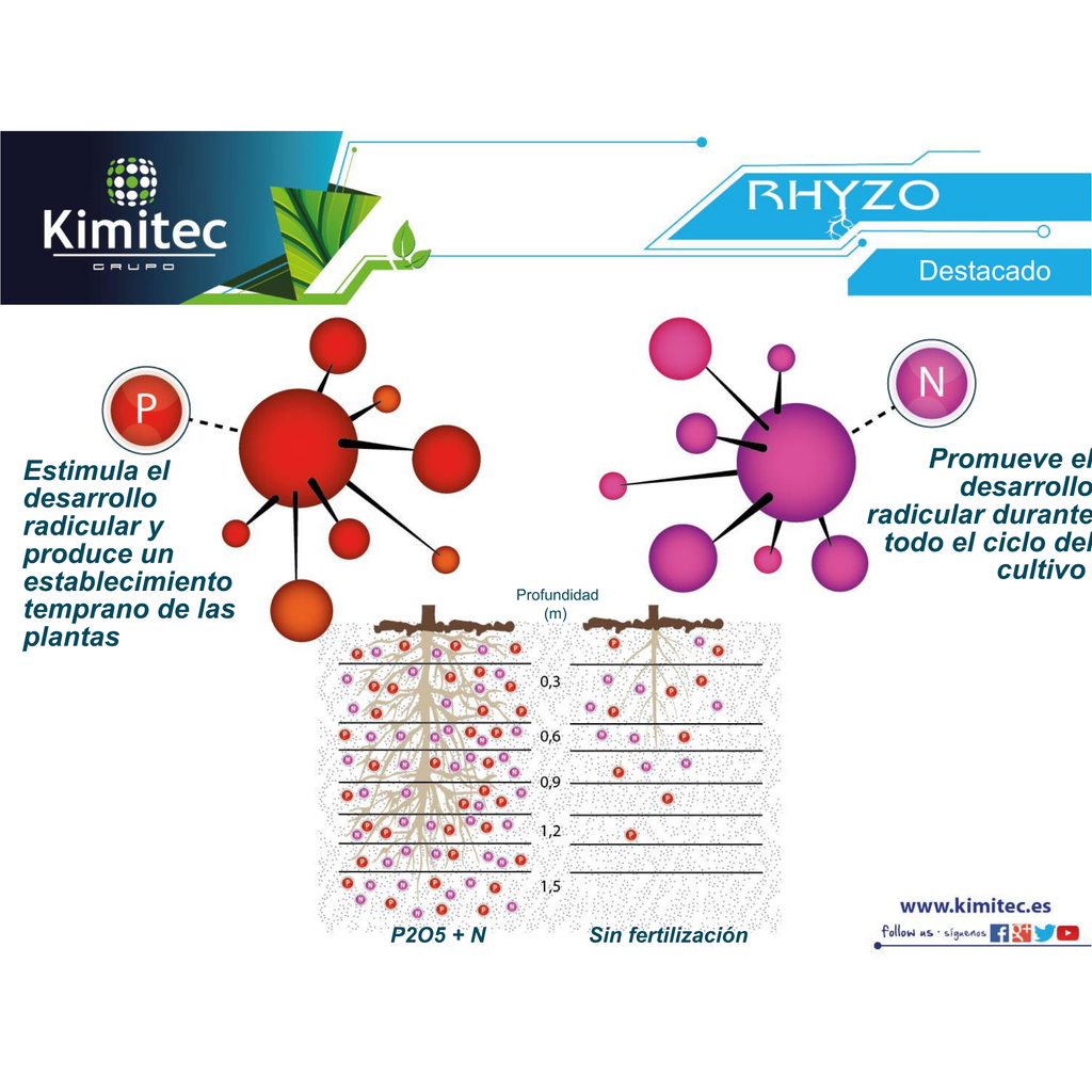 Rhyzo® | 1 KG   | Enraizante no hormonal