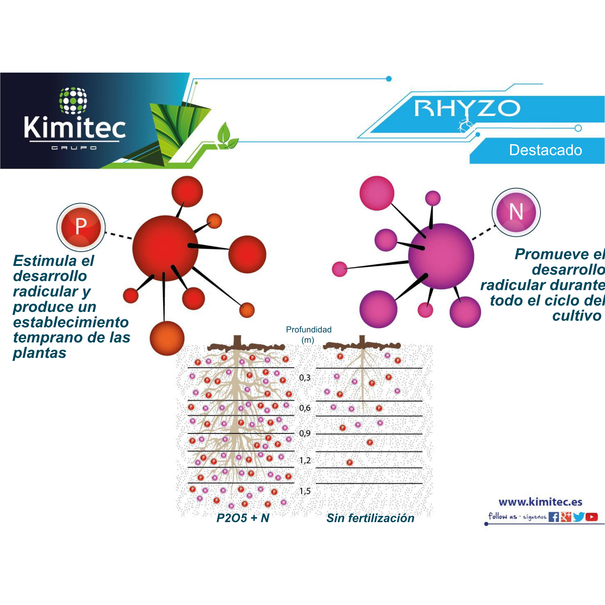 Rhyzo® | 1 KG   | Enraizante no hormonal