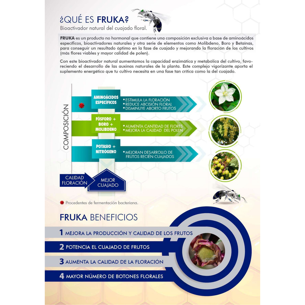 Fruka® | 1 KG   | Potenciador del cuajado