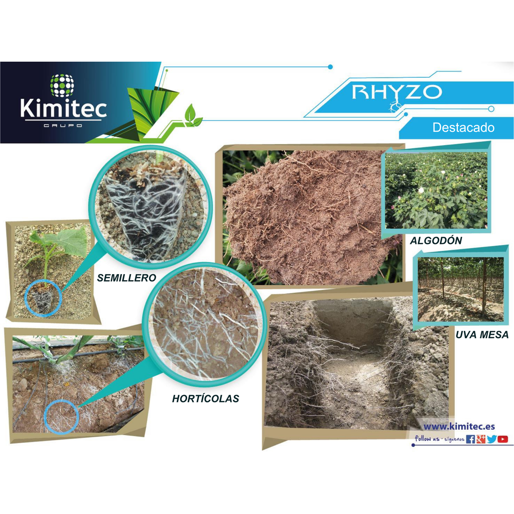 Rhyzo® | 1 KG   | Enraizante no hormonal