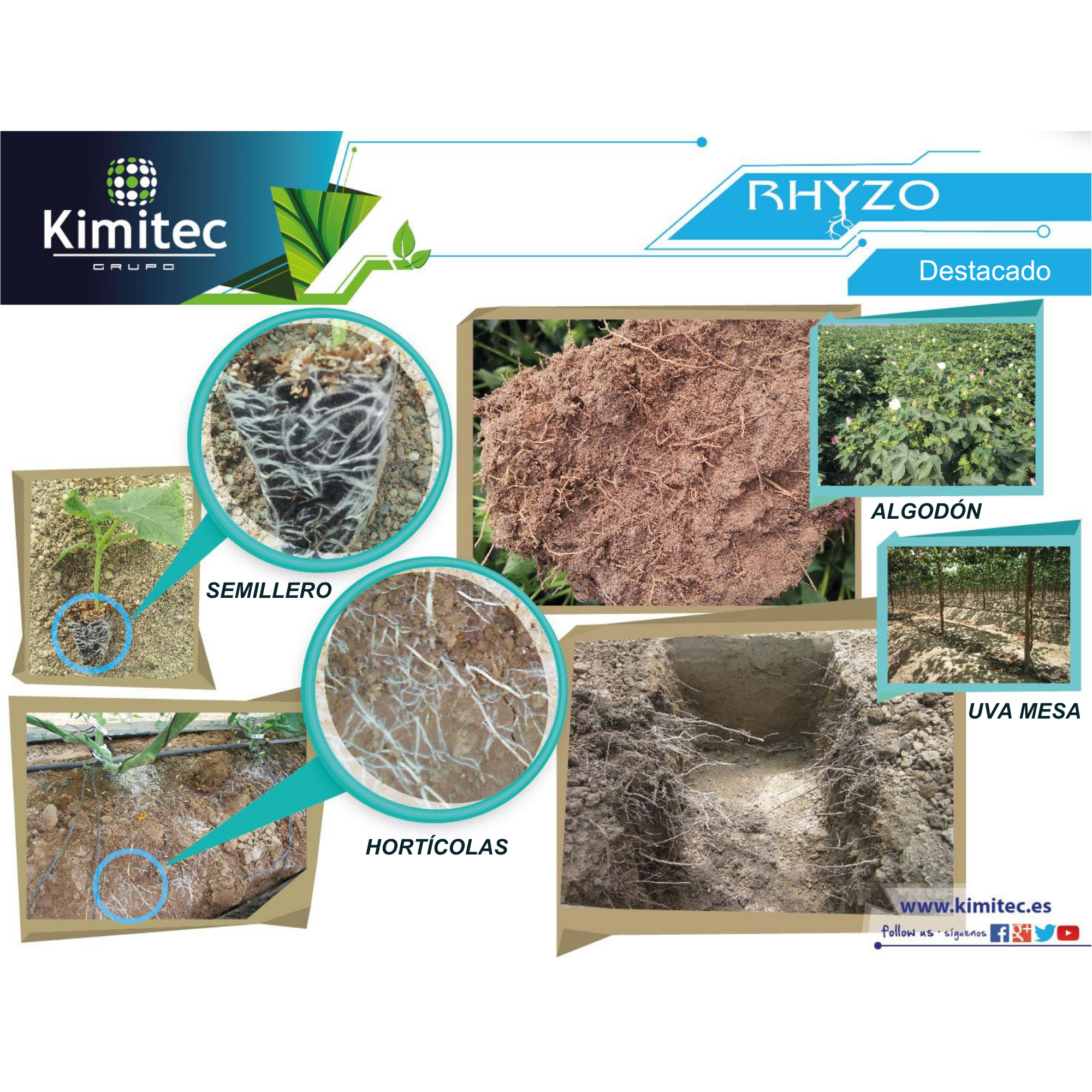 Rhyzo® | 1 KG   | Enraizante no hormonal
