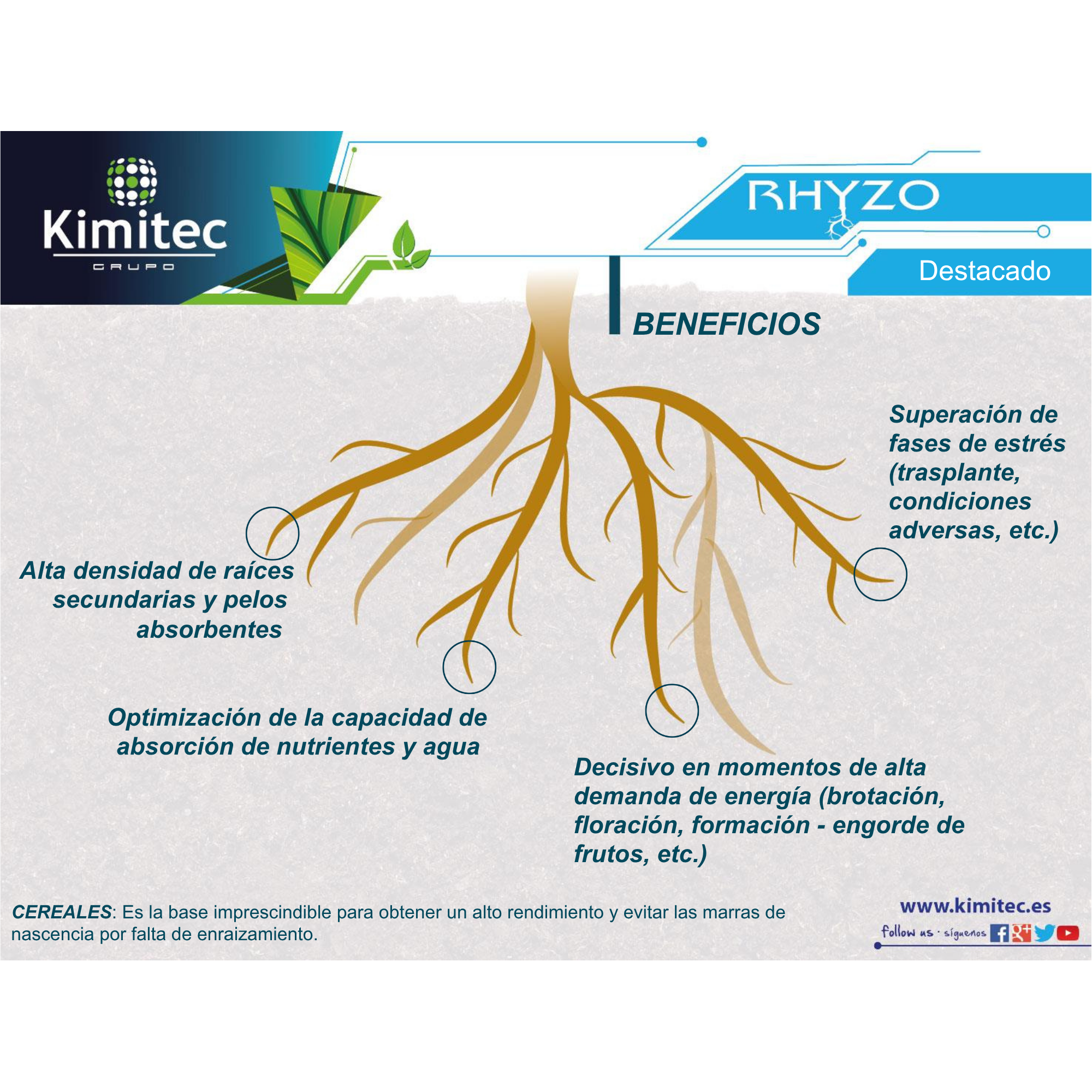 Rhyzo® | 1 KG   | Enraizante no hormonal